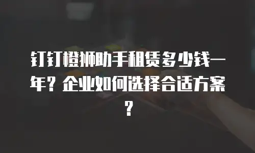 钉钉橙狮助手租赁多少钱一年？企业如何选择合适方案？