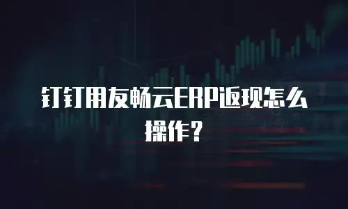 钉钉用友畅云ERP返现怎么操作？
