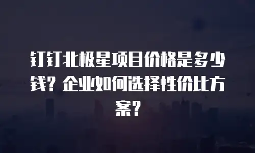 钉钉北极星项目价格是多少钱？企业如何选择性价比方案？