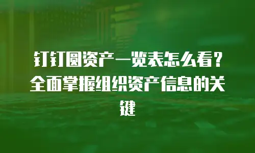 钉钉圆资产一览表怎么看？全面掌握组织资产信息的关键