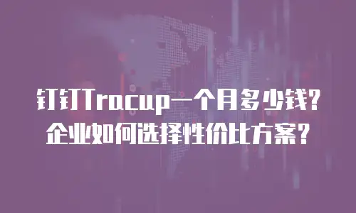 钉钉Tracup一个月多少钱？企业如何选择性价比方案？