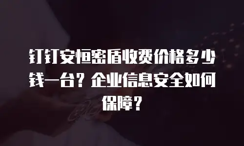 钉钉安恒密盾收费价格多少钱一台？企业信息安全如何保障？