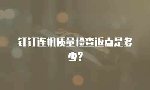 钉钉连帆质量检查返点是多少？