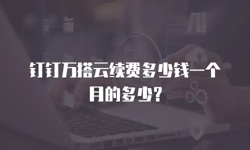 钉钉万搭云续费多少钱一个月的多少？