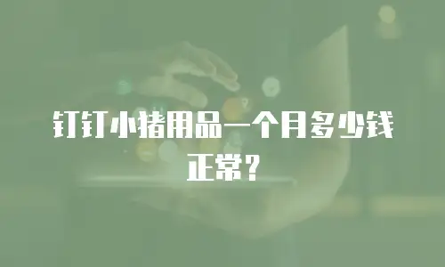 钉钉小猪用品一个月多少钱正常？