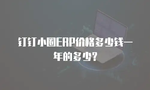 钉钉小圈ERP价格多少钱一年的多少？