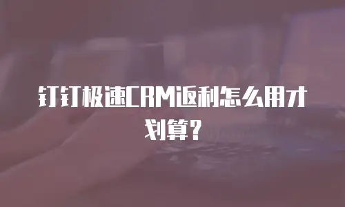 钉钉极速CRM返利怎么用才划算？
