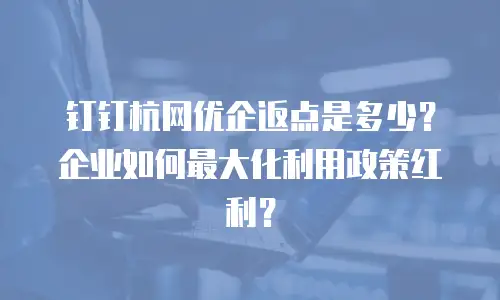 钉钉杭网优企返点是多少？企业如何最大化利用政策红利？