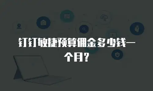钉钉敏捷预算佣金多少钱一个月？