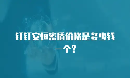 钉钉安恒密盾价格是多少钱一个？