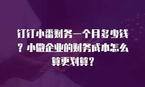钉钉小番财务一个月多少钱？小微企业的财务成本怎么算更划算？