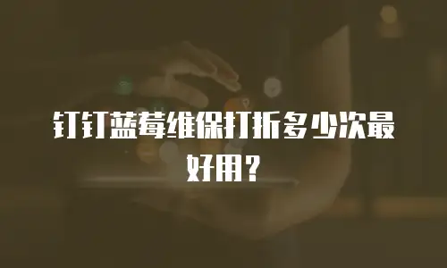 钉钉蓝莓维保打折多少次最好用？