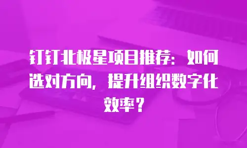 钉钉北极星项目推荐：如何选对方向，提升组织数字化效率？