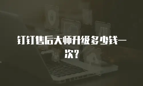 钉钉售后大师升级多少钱一次？