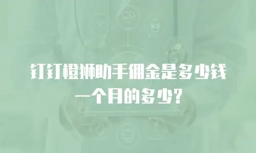 钉钉橙狮助手佣金是多少钱一个月的多少？