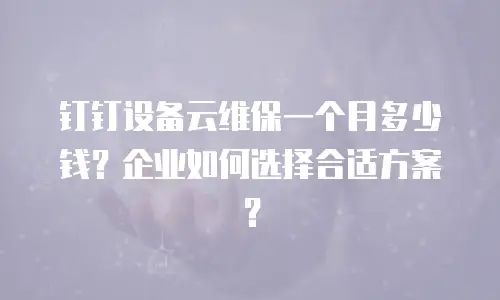 钉钉设备云维保一个月多少钱？企业如何选择合适方案？