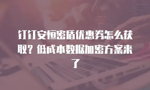 钉钉安恒密盾优惠券怎么获取？低成本数据加密方案来了