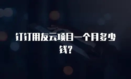 钉钉用友云项目一个月多少钱？