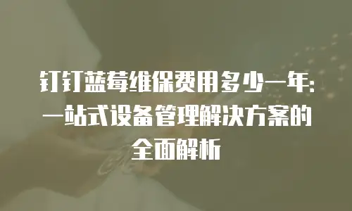 钉钉蓝莓维保费用多少一年：一站式设备管理解决方案的全面解析