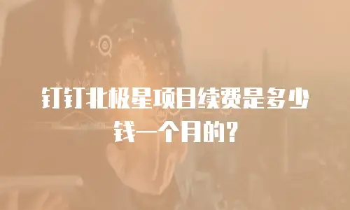 钉钉北极星项目续费是多少钱一个月的？