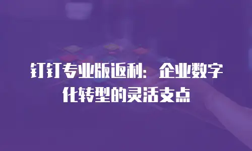 钉钉专业版返利：企业数字化转型的灵活支点