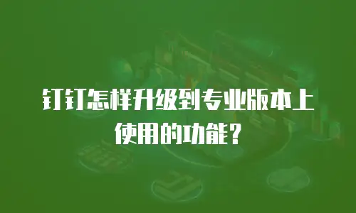 钉钉怎样升级到专业版本上使用的功能？