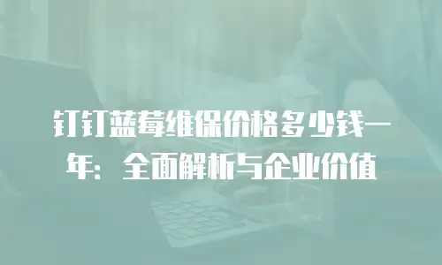 钉钉蓝莓维保价格多少钱一年：全面解析与企业价值