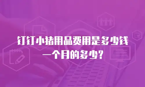 钉钉小猪用品费用是多少钱一个月的多少？