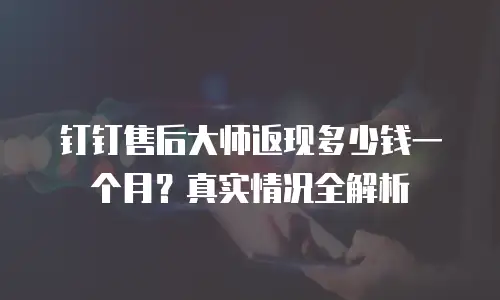 钉钉售后大师返现多少钱一个月？真实情况全解析