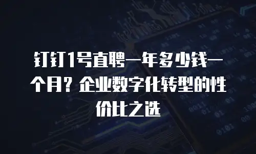 钉钉1号直聘一年多少钱一个月？企业数字化转型的性价比之选