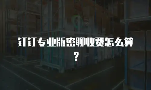 钉钉专业版密聊收费怎么算？