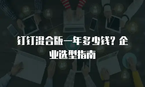 钉钉混合版一年多少钱？企业选型指南