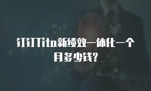 钉钉Tita新绩效一体化一个月多少钱？