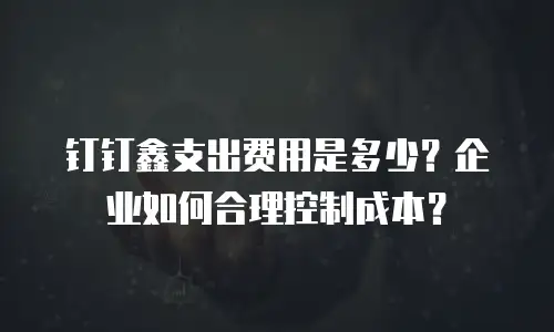 钉钉鑫支出费用是多少？企业如何合理控制成本？