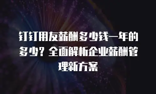 钉钉用友薪酬多少钱一年的多少？全面解析企业薪酬管理新方案