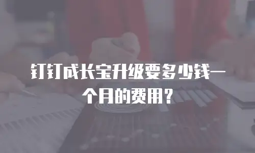 钉钉成长宝升级要多少钱一个月的费用？
