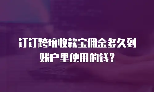 钉钉跨境收款宝佣金多久到账户里使用的钱？
