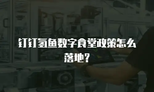 钉钉氢鱼数字食堂政策怎么落地？
