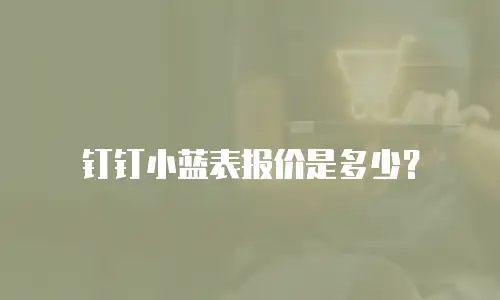 钉钉小蓝表报价是多少？