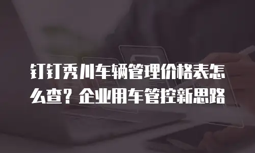 钉钉秀川车辆管理价格表怎么查？企业用车管控新思路