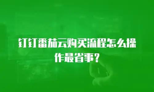 钉钉番茄云购买流程怎么操作最省事？