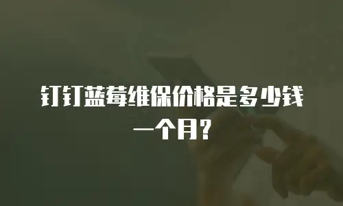 钉钉蓝莓维保价格是多少钱一个月？