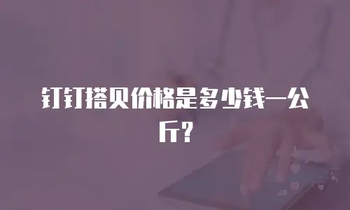 钉钉搭贝价格是多少钱一公斤？