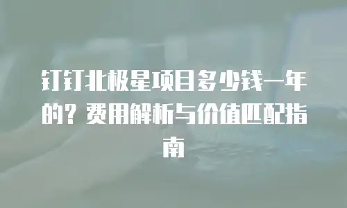 钉钉北极星项目多少钱一年的？费用解析与价值匹配指南