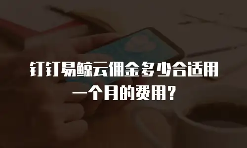钉钉易鲸云佣金多少合适用一个月的费用？