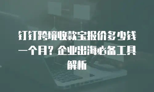 钉钉跨境收款宝报价多少钱一个月？企业出海必备工具解析