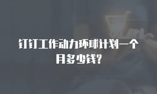 钉钉工作动力环球计划一个月多少钱？