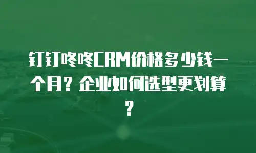 钉钉咚咚CRM价格多少钱一个月？企业如何选型更划算？
