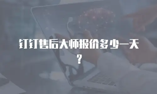 钉钉售后大师报价多少一天？