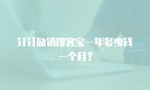 钉钉励销搜客宝一年多少钱一个月？